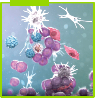 (3D) model of cancer cells